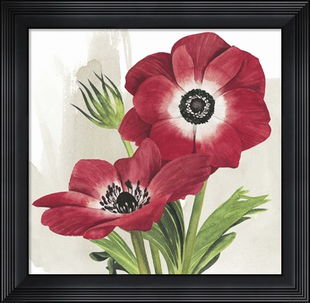 Framed Crimson Anemones II Print