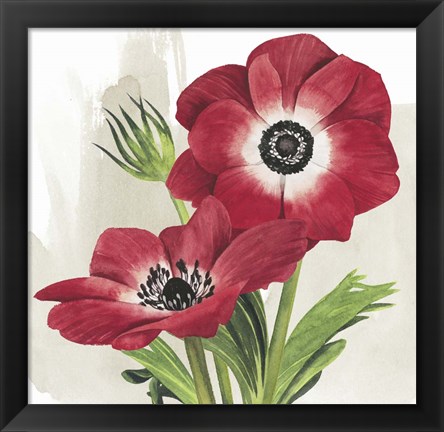 Framed Crimson Anemones II Print