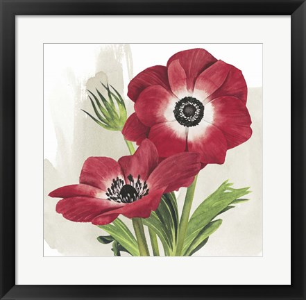 Framed Crimson Anemones II Print