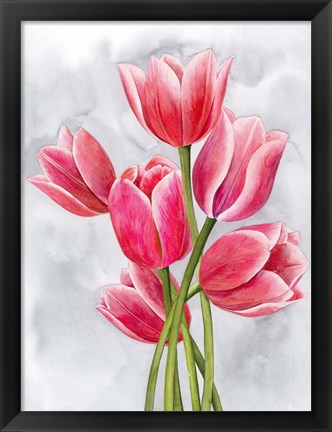 Framed Tulip Tangle I Print