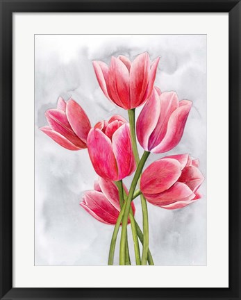 Framed Tulip Tangle I Print