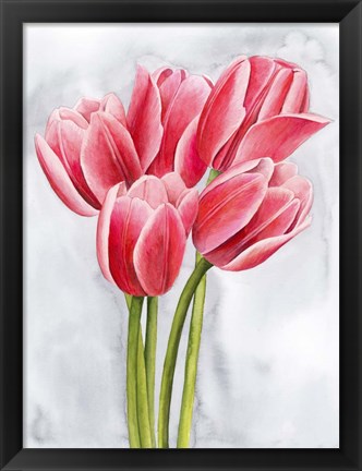 Framed Tulip Tangle II Print