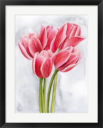 Framed Tulip Tangle II Print