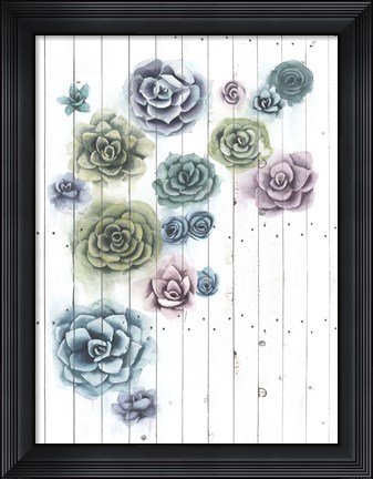 Framed Shiplap Succulent Cluster II Print