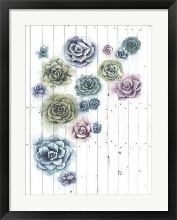Framed Shiplap Succulent Cluster II Print