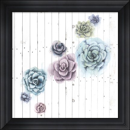 Framed Shiplap Succulent Cluster III Print