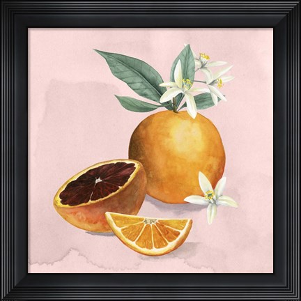 Framed Orange Blossom I Print