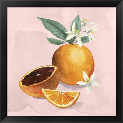 Framed Orange Blossom I Print