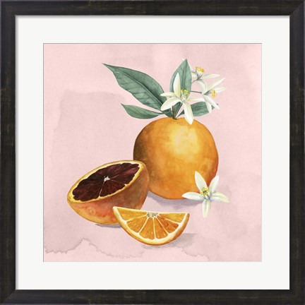 Framed Orange Blossom I Print