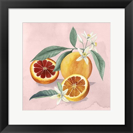 Framed Orange Blossom II Print
