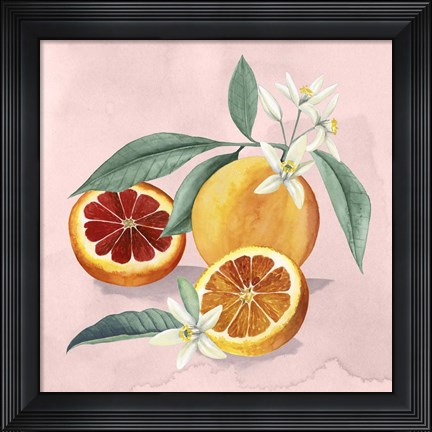 Framed Orange Blossom II Print