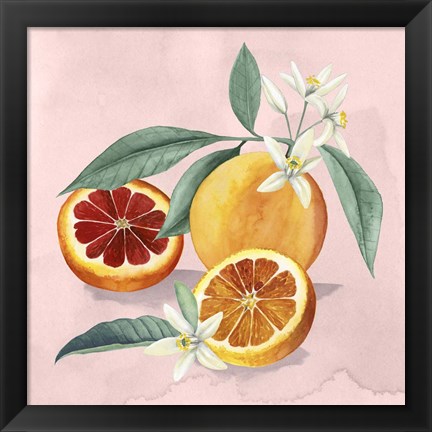 Framed Orange Blossom II Print