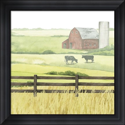 Framed Sunlit Graze II Print