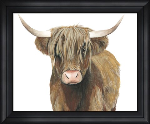 Framed Highland Cattle II Print