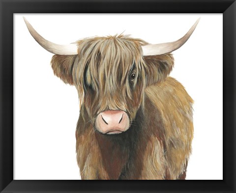 Framed Highland Cattle II Print