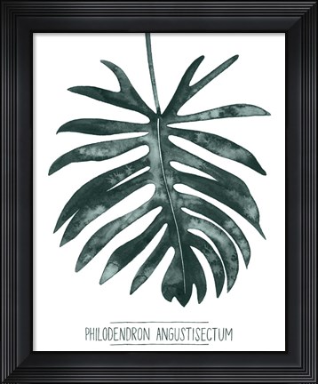 Framed Gemstone Tropicale I Print