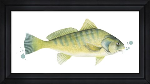 Framed Chromatic Catch I Print