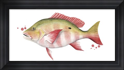 Framed Chromatic Catch II Print