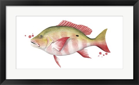 Framed Chromatic Catch II Print