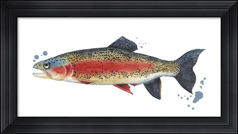 Framed Chromatic Catch IV Print