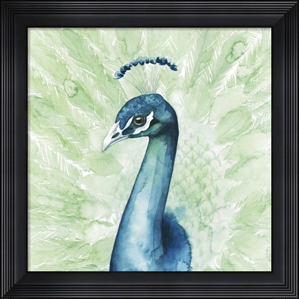 Framed Lucent Plume II Print