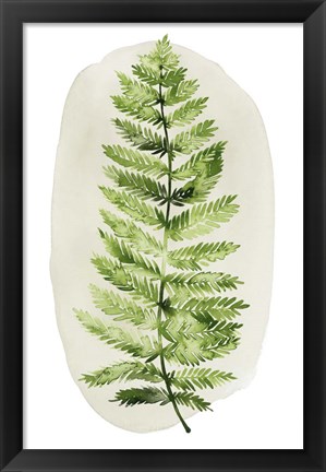 Framed Spot Fern I Print