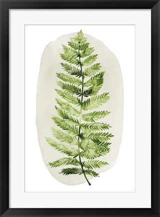 Framed Spot Fern I Print