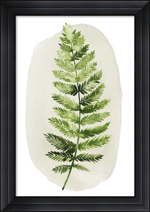 Framed Spot Fern II Print