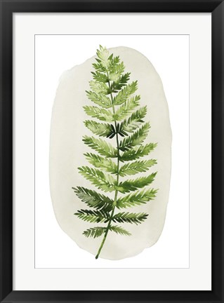 Framed Spot Fern II Print