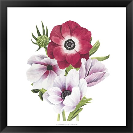 Framed Anemone Blooms I Print