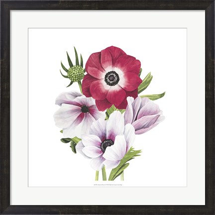 Framed Anemone Blooms I Print