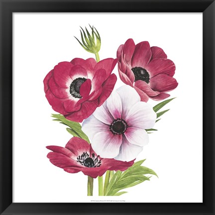 Framed Anemone Blooms II Print