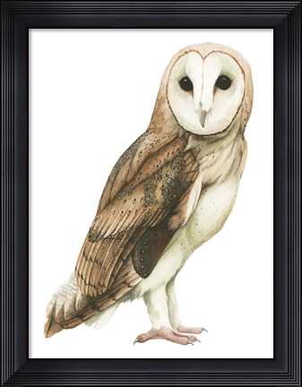 Framed Alba I Print