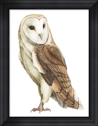 Framed Alba II Print
