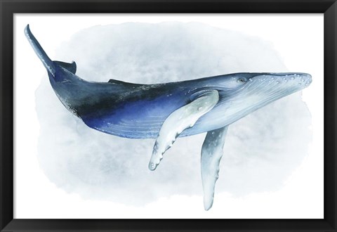 Framed Watercolor Humpback I Print