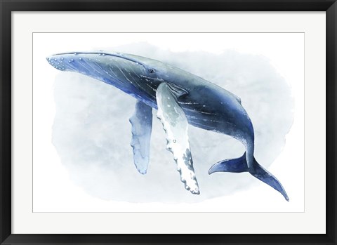 Framed Watercolor Humpback II Print