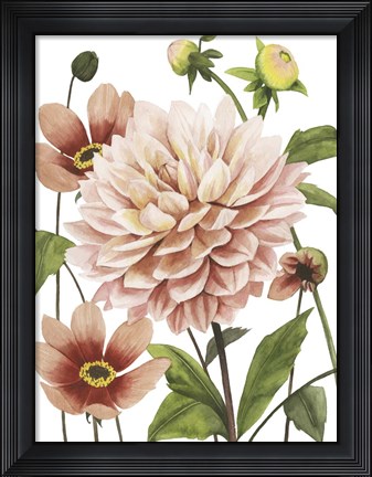 Framed Dahlia Spell I Print