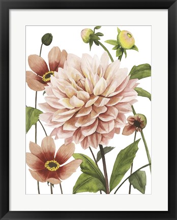 Framed Dahlia Spell I Print