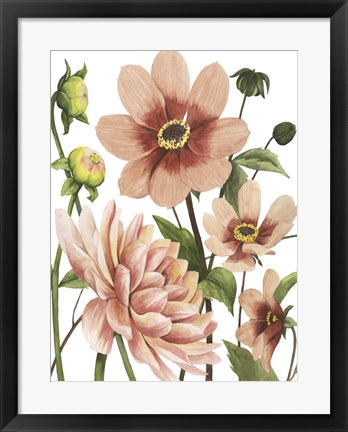 Framed Dahlia Spell II Print