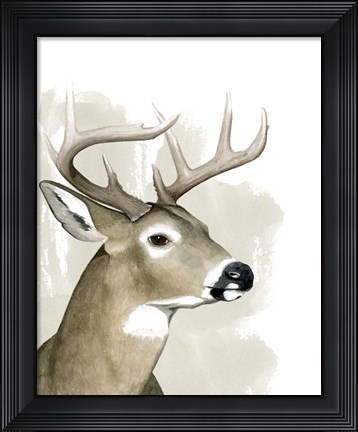 Framed Timberland Friend I Print