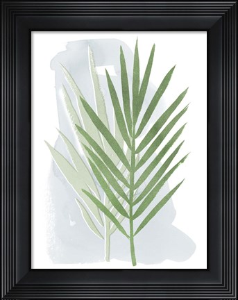 Framed Palm Overlay II Print