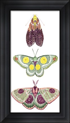 Framed Moth Fairies I Print