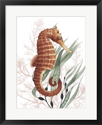 Framed Seahorse Treasures I Print