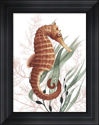 Framed Seahorse Treasures I Print