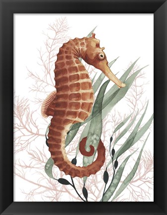 Framed Seahorse Treasures I Print