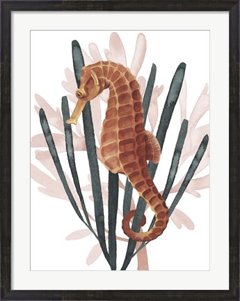 Framed Seahorse Treasures II Print
