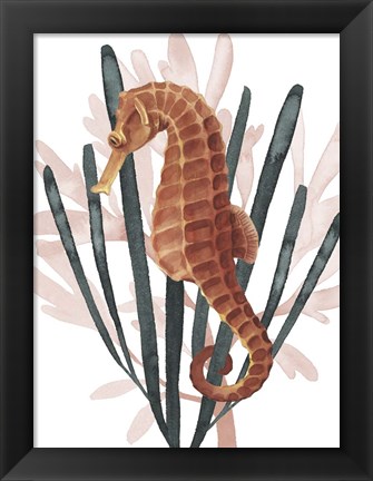 Framed Seahorse Treasures II Print