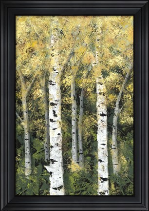 Framed Birch Treeline II Print