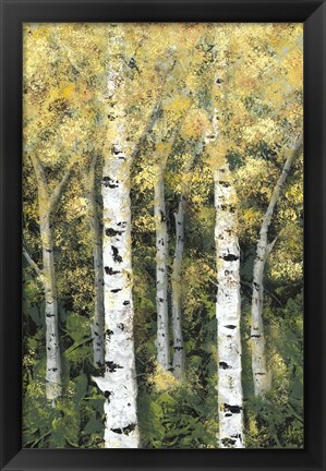 Framed Birch Treeline II Print