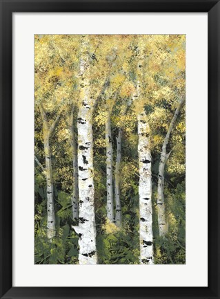 Framed Birch Treeline II Print